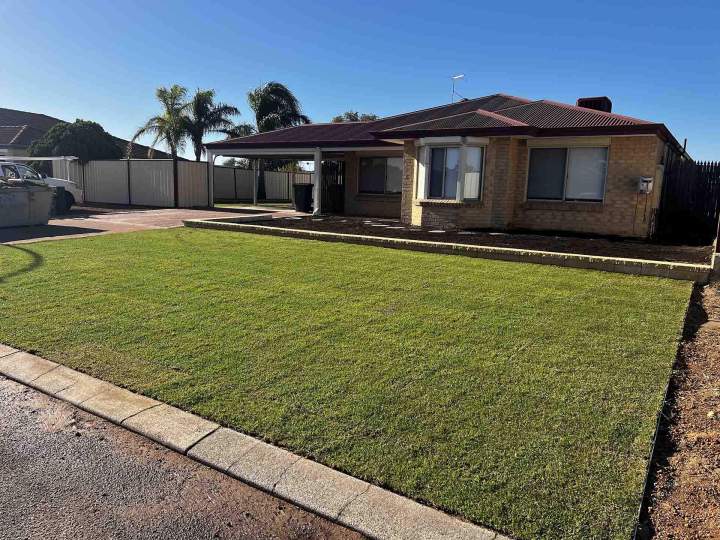 Instant Lawns That Feel Real and Last