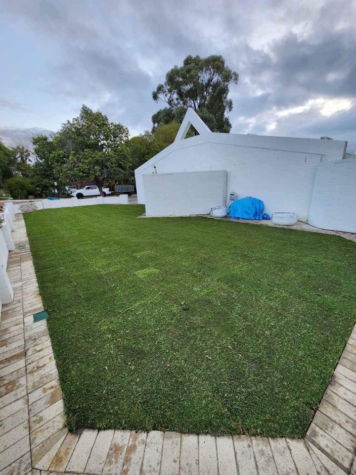 Green Lawn without Maintenance Perth